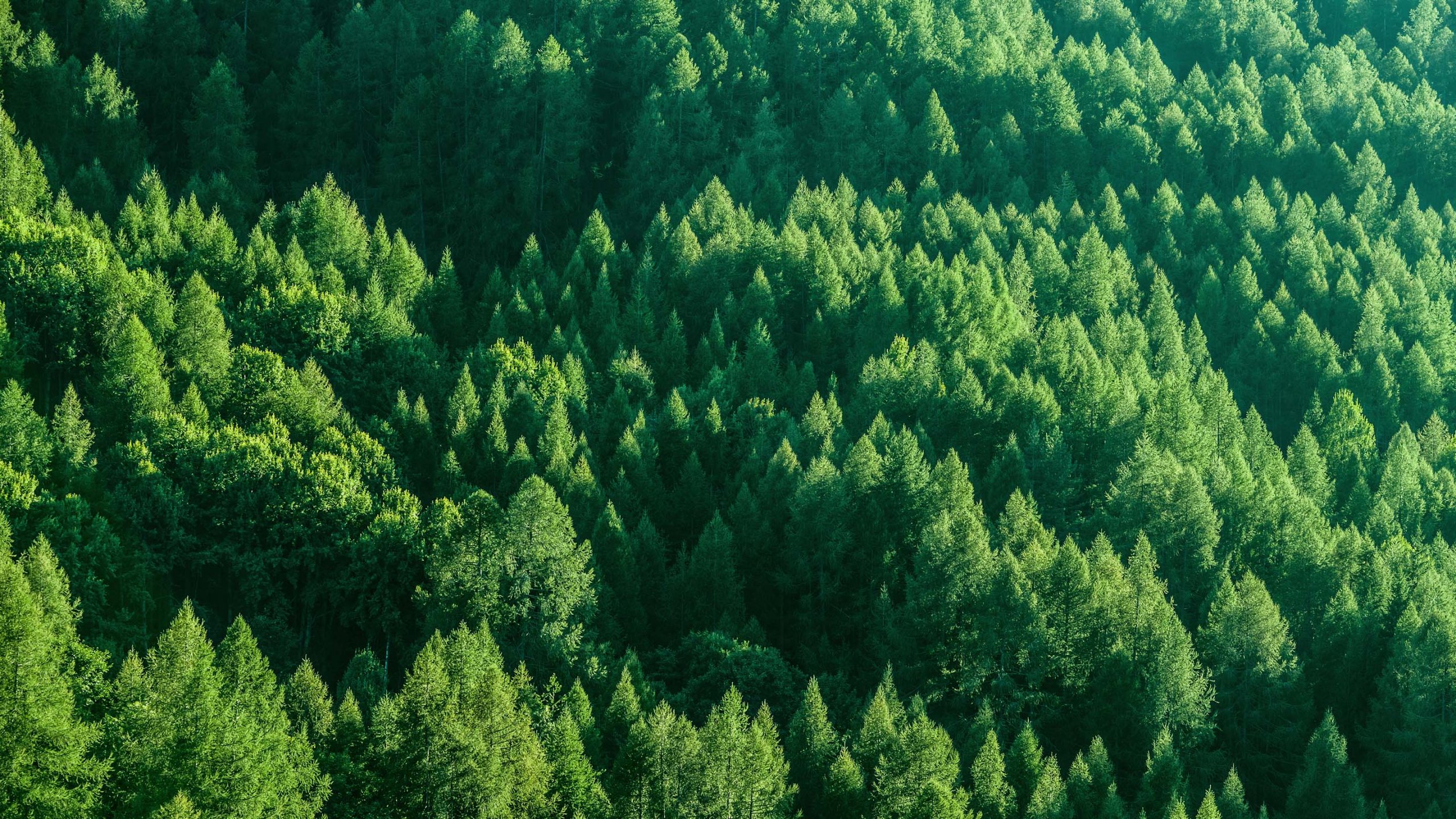 pollution and emission reduction PC scaled